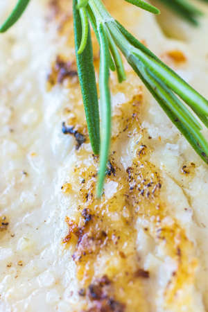 Grilled Fish Filletの写真素材