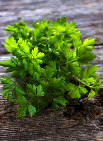 fresh parsley on wooden surfaceの写真素材