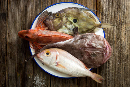 Fresh saltwater fish