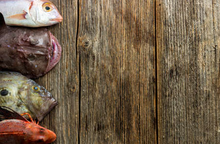 Food background with Fish and Lots of copy spaceの写真素材