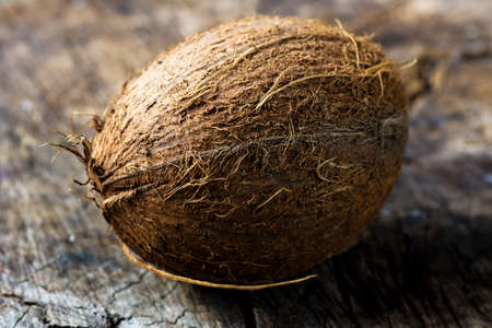 Coconut