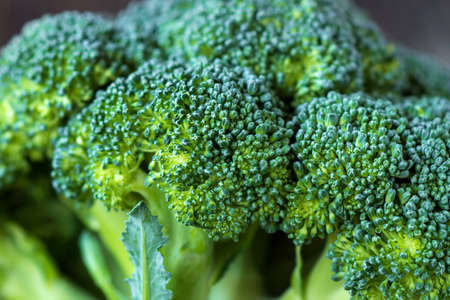 Organic broccoliの写真素材