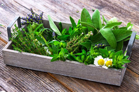 Fresh herbs from garden  on wooden  backgroundの写真素材