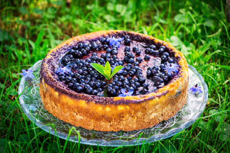 Cake with cream cheese and blueberriesの写真素材