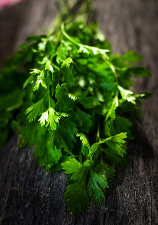 Fresh green parsley on  wooden backgroundの写真素材
