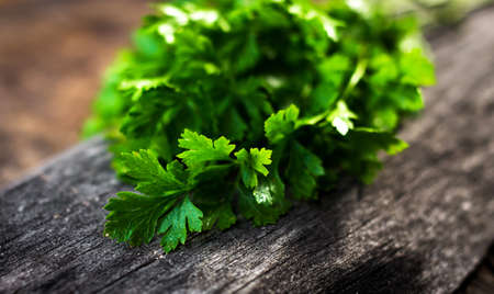 Fresh green parsley on  wooden backgroundの写真素材