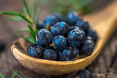 Juniper berries on old wooden tableの写真素材