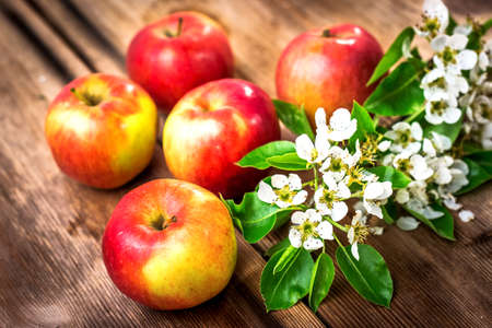 Raw organic apples on wooden backgroundの写真素材
