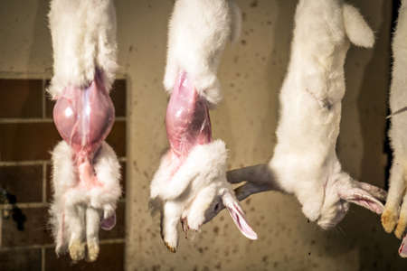 Butcher preparing rabbit meat