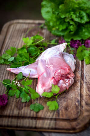 Raw fresh rabbit meat on wooden backgroundの写真素材