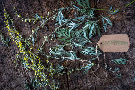 Absinthium on wooden backgroundの写真素材