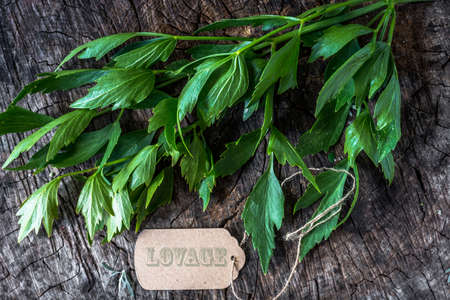Fresh lovage on wooden backgroundの写真素材