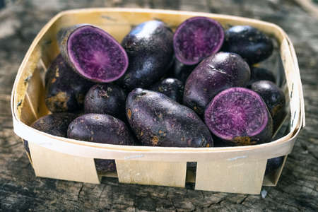 Purple Potatoesの写真素材