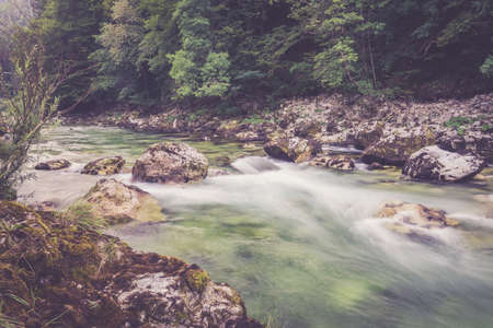 Mountain river in the green forestの写真素材