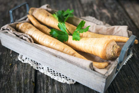 Fresh root  parsley on rustic tableの写真素材