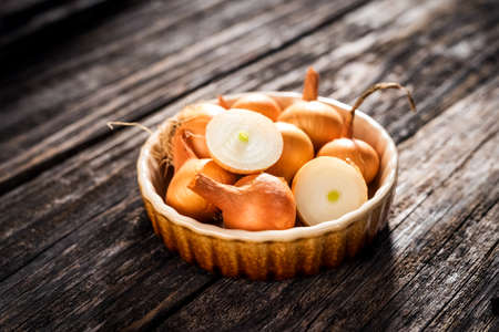 Fresh onion  on wooden table