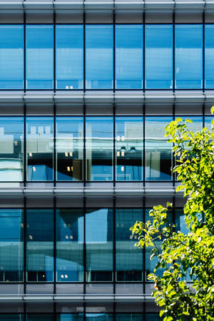 Glass facade of an office building with a tree outside