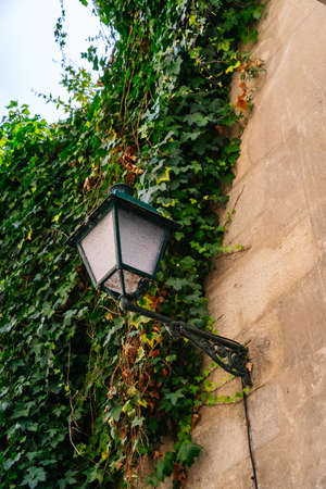 Detail of a lamppost on a stone wallの写真素材