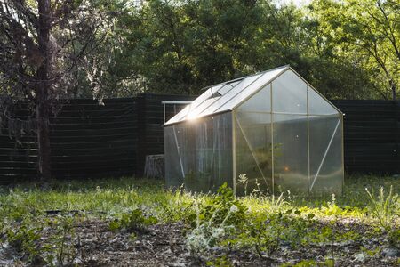 Plastic greenhouse and small orchard with vegetables in a gardenの写真素材