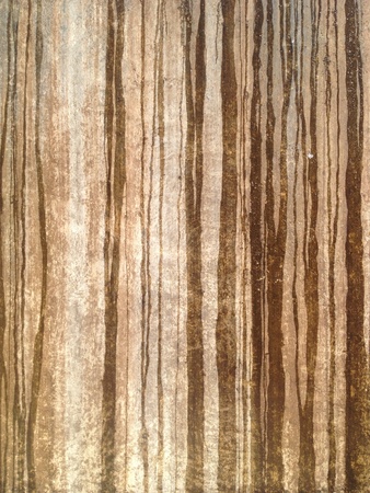 Water dripping in Oaxaca の素材