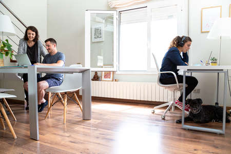 young people working on a project at home with their computers in a bright room with a dog lying on...