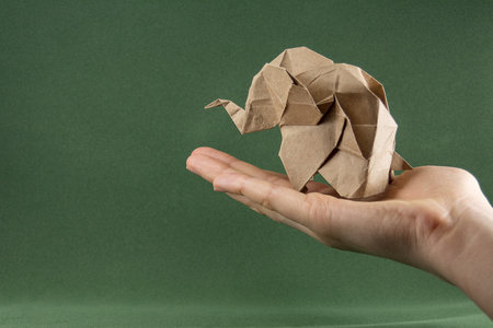 origami baby elephant craft paper on a green background on the hand, the concept of saving paper and forests, save paper, save the forest, mockup, copy spaceの写真素材