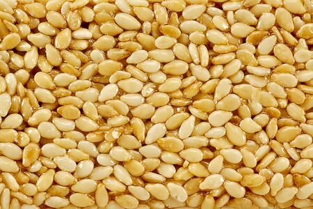 kozinak sugar glazed, sesame seeds in icing sugar, Oriental sweets close-up macro, brittlesの写真素材