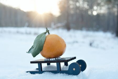 toy sleigh carrying a gift tangerine mandarine in the winter on this snow on a Sunny frosty day, winter mood, new year's cardの写真素材