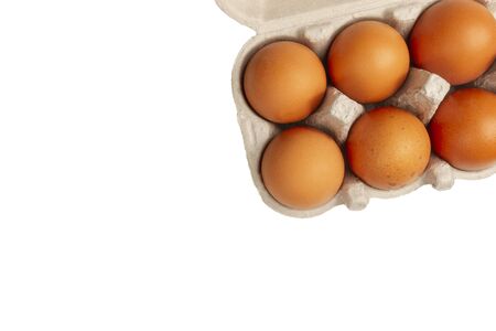 chicken eggs close-up isolated on white background in cardboard box for transportation