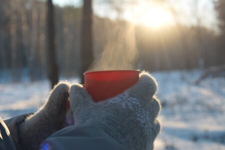 mug with hot drink in hands dressed in knitted wool mittens in winter on a Sunny frosty day, winter picnic, winter moodの写真素材