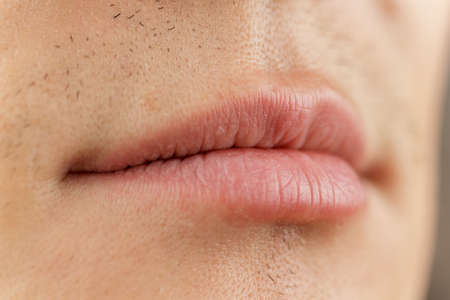 the structure of human lips, close-up, morphology and anatomy, mucous red border, selective focusの写真素材