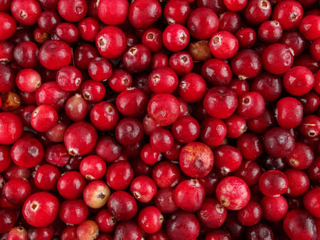 Cranberry berries are used for the preparation of fruit drinks, juices, kvass, extracts, jelly,...