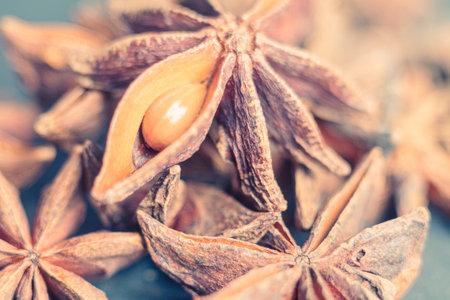 Close-up of star anise, showing their texture and detail in macro.