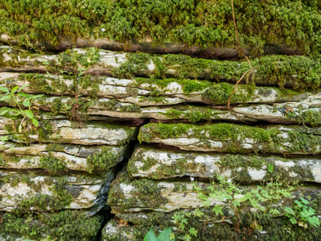 Ancient stone structure covered in moss and small plants, suggesting a long history and natural integration.の写真素材