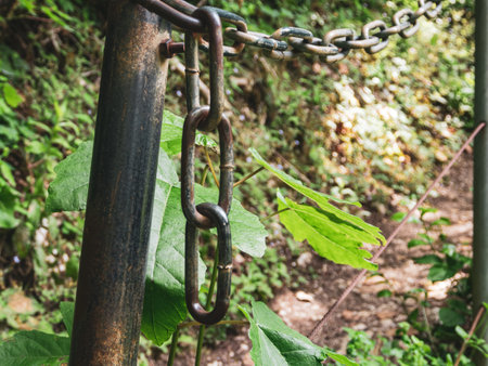 A close-up of a metal chain with a detailed texture that emphasizes strength and durability, ideal...