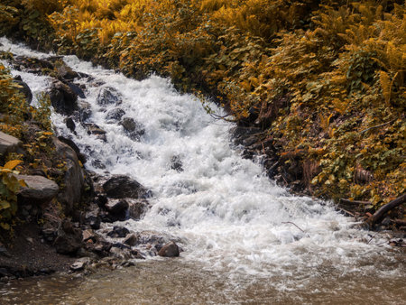 A mountain river with crystal clear water, framed by rocks and green banks, creating a picturesque...