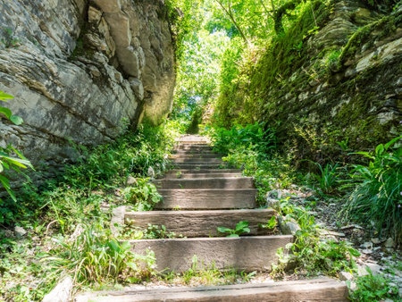 Sheer cliffs frame ancient ruins, reminiscent of past greatness, creating a mystical atmosphere and...