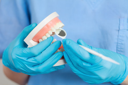 Dentist conducts diagnosis and training using instruments and artificial jaw for practice, close-up.の写真素材