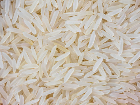 Close-up shot of dry, uncooked long grain basmati rice. Grains are slender and translucent, showing natural texture.の写真素材