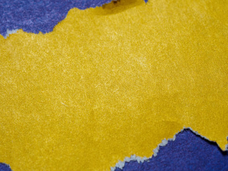 A textured background featuring torn paper edges creating a unique copy space. Rough, layered, and...
