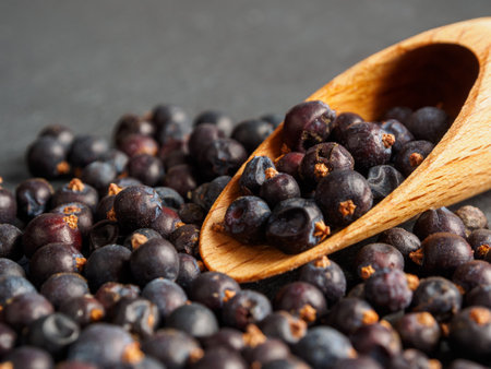 Juniper berries in a close-up background, creating an atmosphere of natural harmony and freshness of the forest.の写真素材