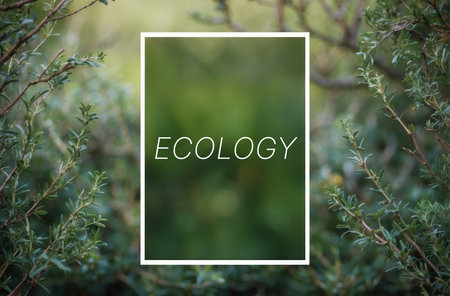 "Ecology" text words description on green eco backgroundの素材