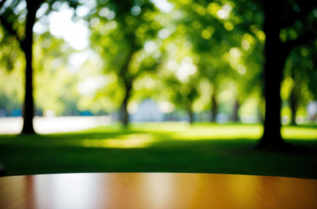Tabletop foreground, blurred park bokeh. Green nature background. Peaceful serene.の素材
