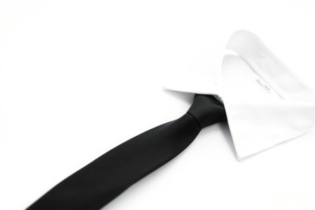 White shirt with black tie. Casual professional wear. Classic and stylish.の素材