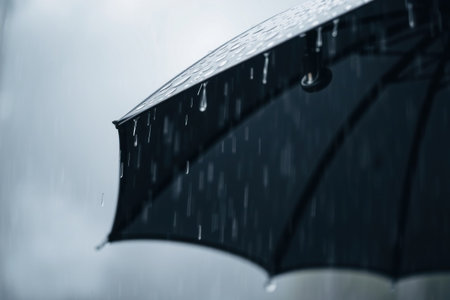 Soft, dreamy rain. Bright colors and hazy light create a peaceful, energetic vibe.の素材