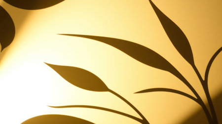 Silhouette of leaves on a yellow background. Yellow background.の素材