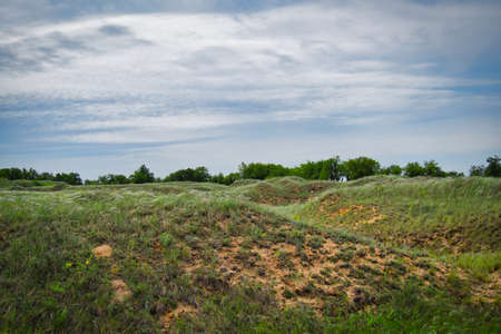 green field and blue skyの写真素材