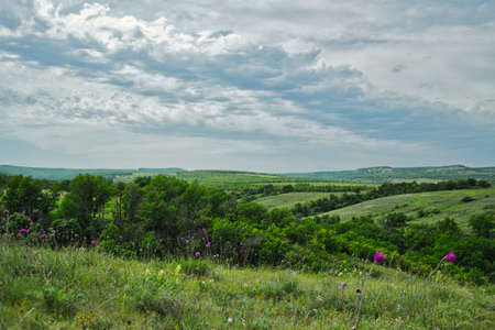 valley of flowersの写真素材