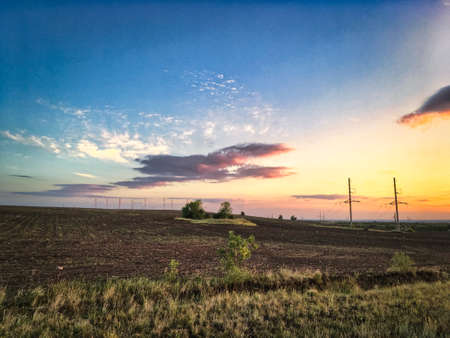 sunset, landscape with trees in fieldの写真素材