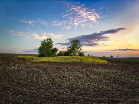 sunset, landscape in the fieldの写真素材